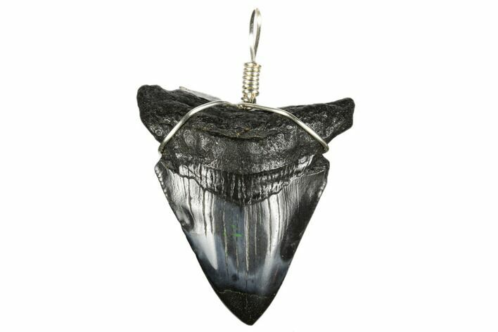 Fossil Megalodon Tooth Necklace #173815